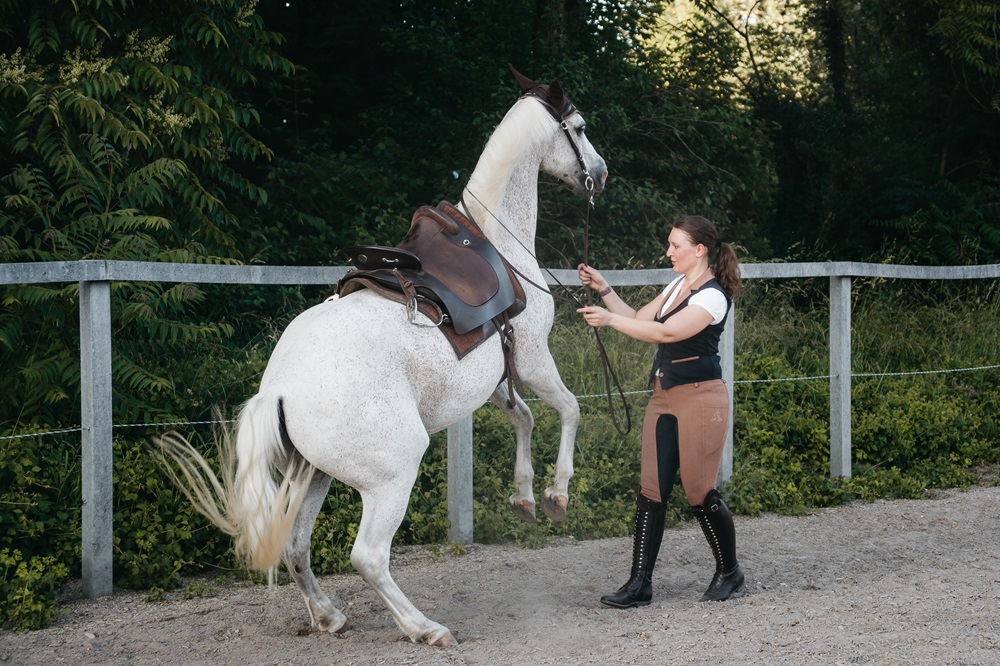 Katharina Luger mit Pferd