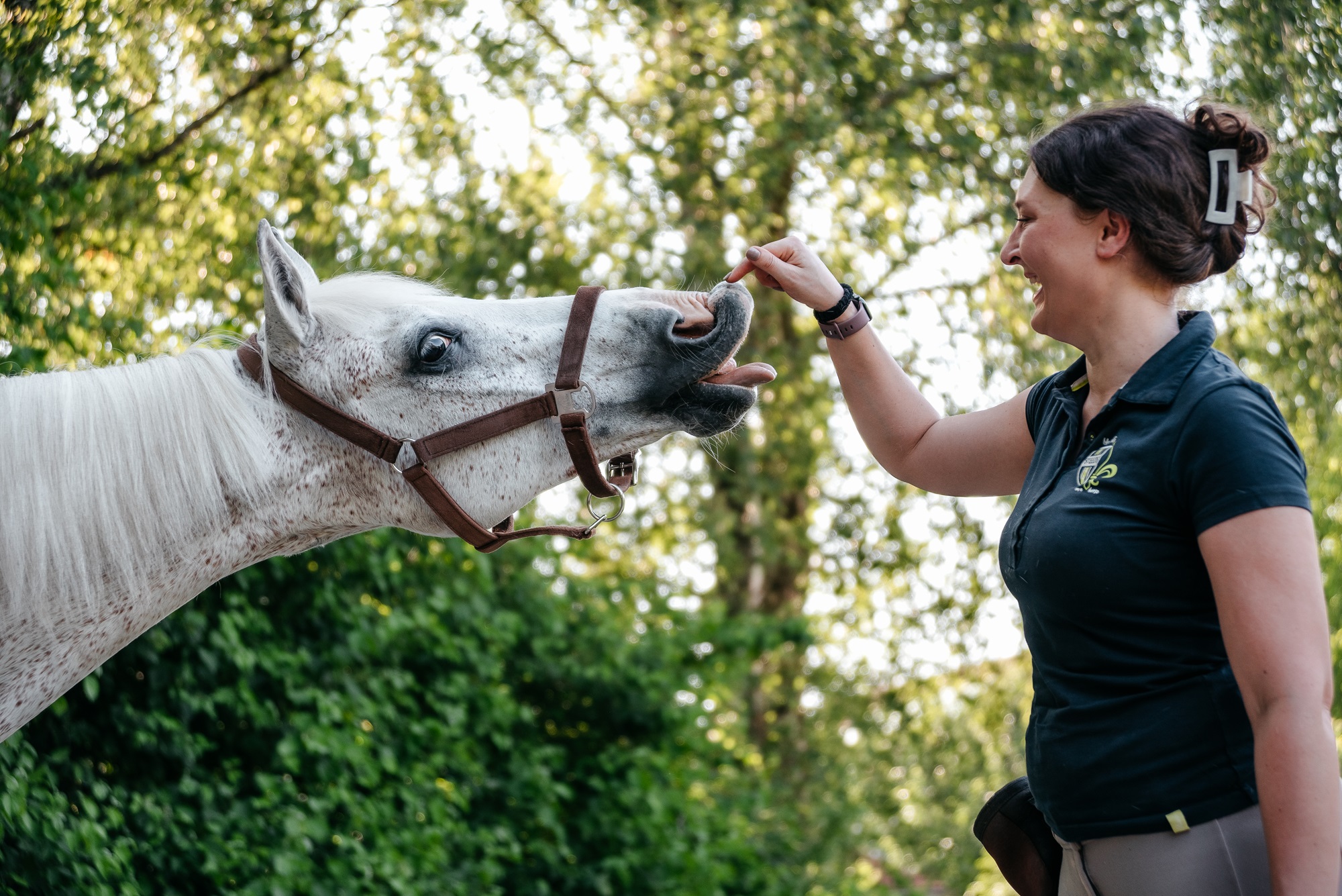 Harmonische Arbeit mit dem Pferd